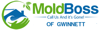 Mold Boss Gwinnett
